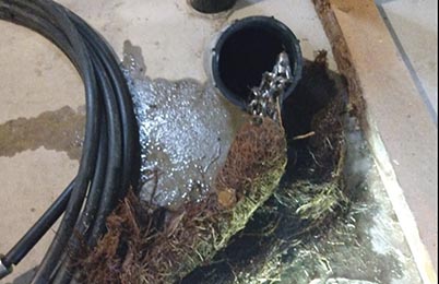 Sewer-Line-Root-Removal-Edmonton